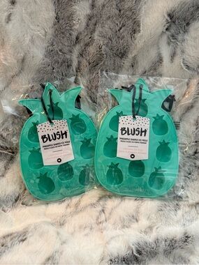 *NWT* Blush Pineapple Shaped Ice Cube Tray SET OF 2! 🍍🍍
